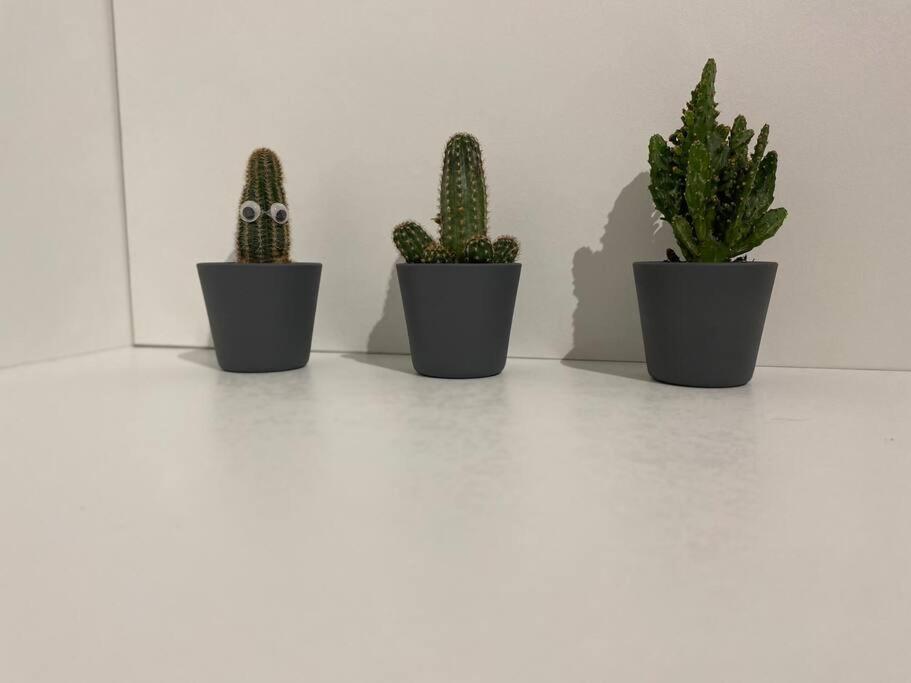 מונסו-לה-מין Propre Spacieux Renove Pratique Proche Centre מראה חיצוני תמונה
